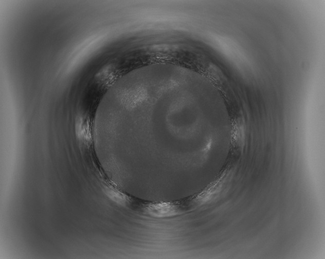 X0000113260431200909101503