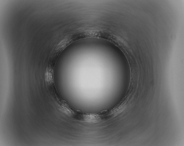 X0000113260432200909101503