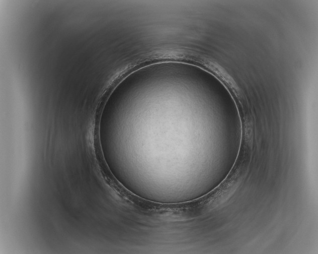 X0000113260434200909101502