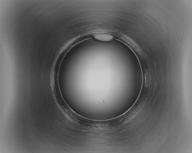 X0000113260436200909101502