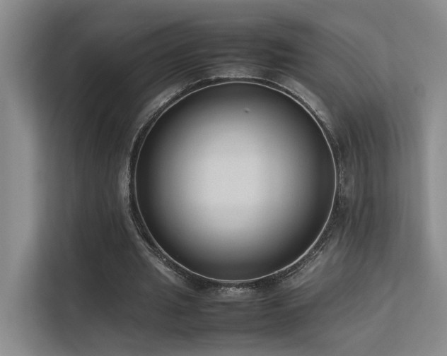 X0000113260437200909101502