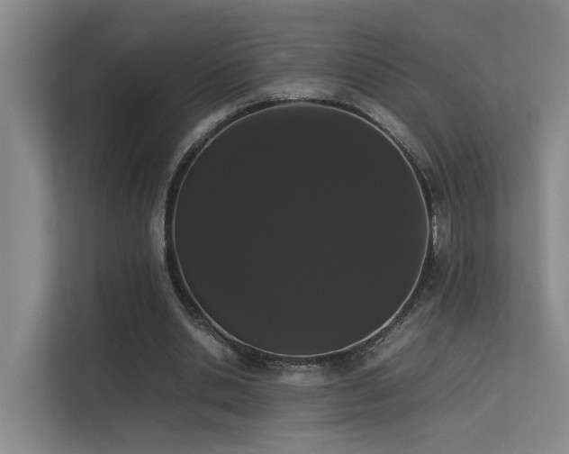 X0000113260438200909101502