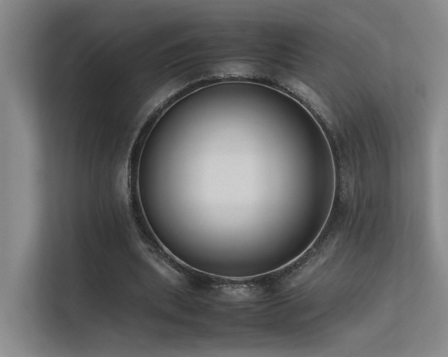 X0000113260439200909101502