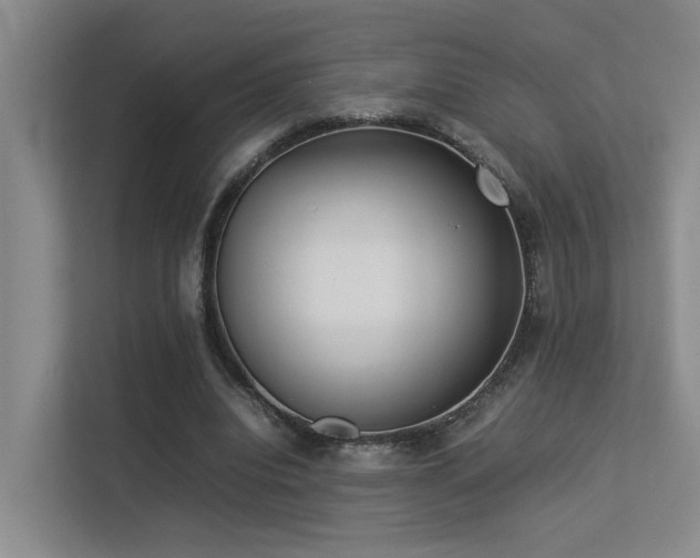 X0000113260440200909101502