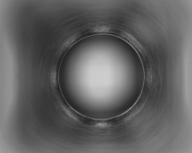 X0000113260441200909101502