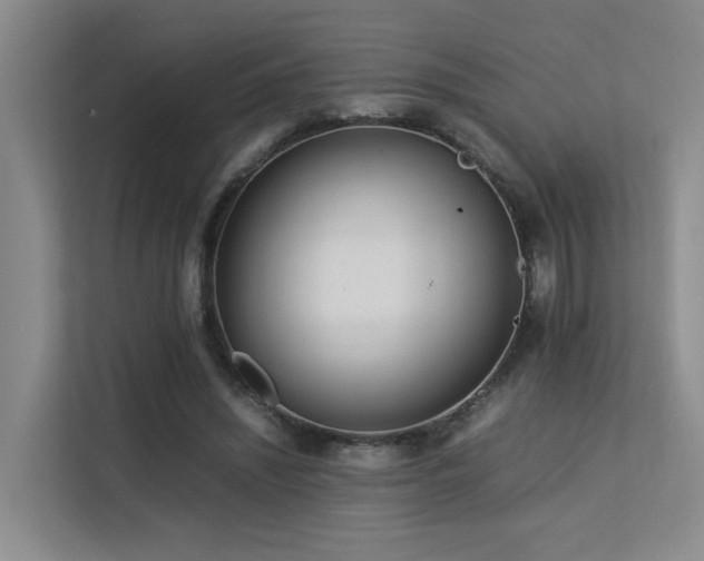 X0000113260444200909101502