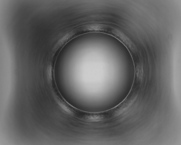 X0000113260445200909101502