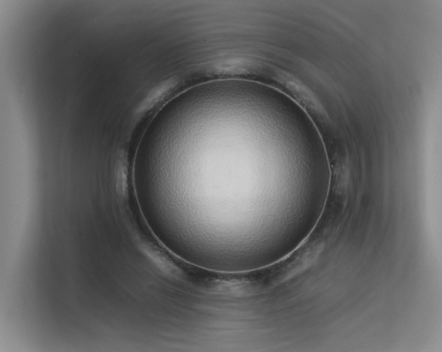 X0000113260446200909101502