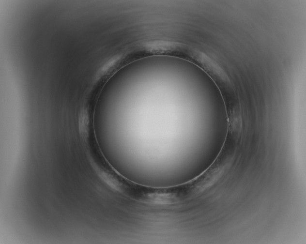 X0000113260448200909101502