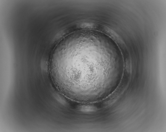 X0000113260449200909101502