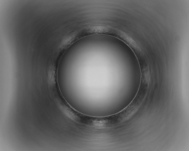 X0000113260450200909101502