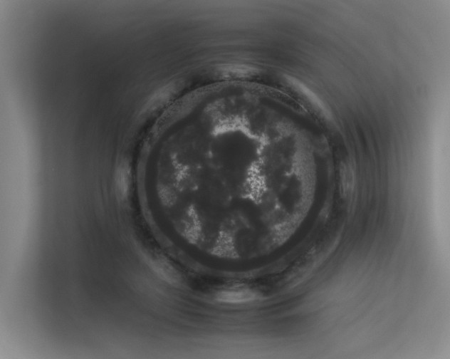 X0000113260451200909101502