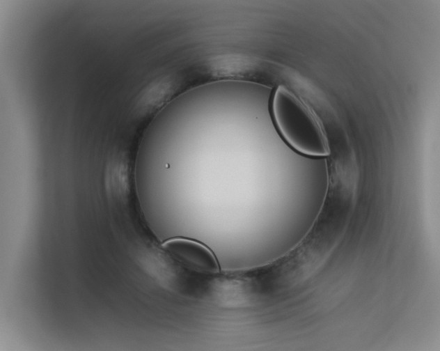 X0000113260452200909101502