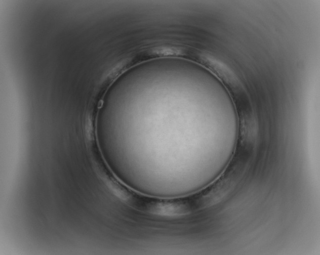 X0000113260453200909101502