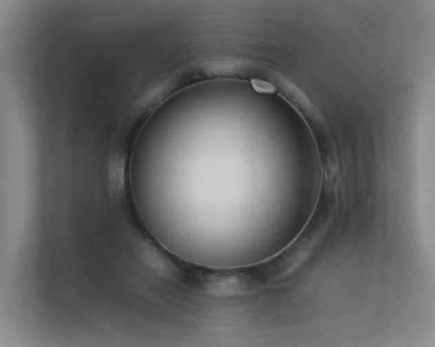 X0000113260454200909101502