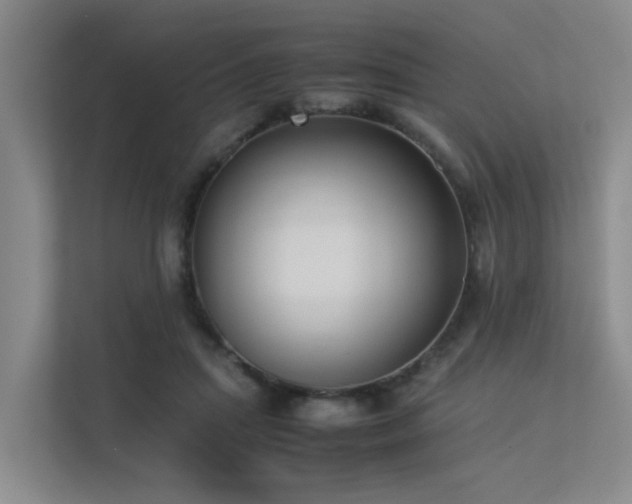 X0000113260455200909101502