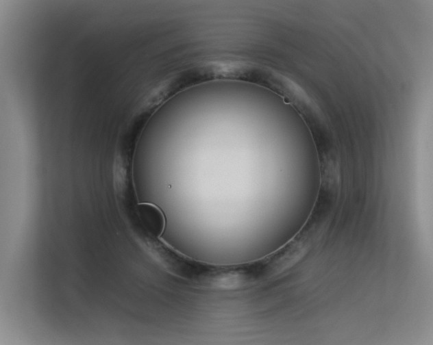 X0000113260456200909101502