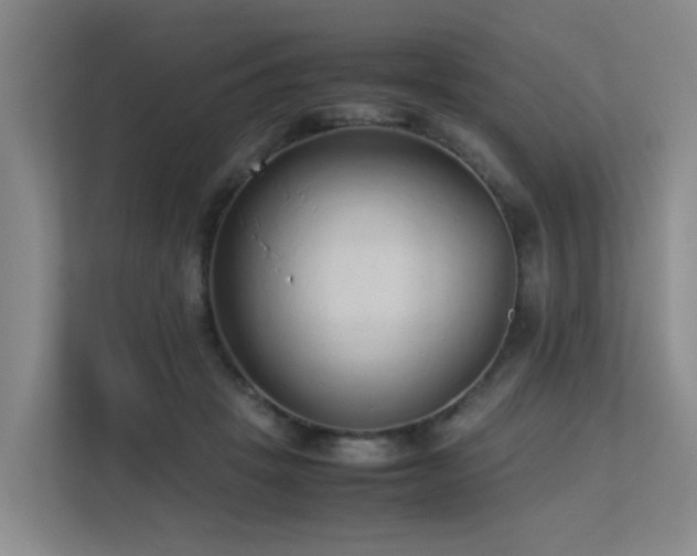 X0000113260457200909101502