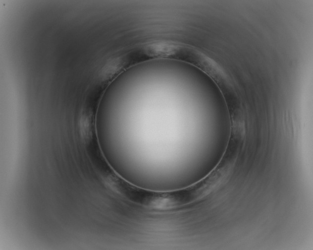 X0000113260460200909101502