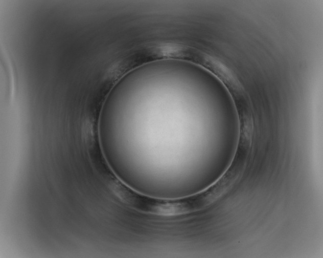 X0000113260461200909101502