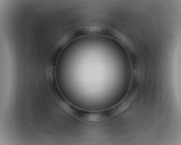 X0000113260462200909101502