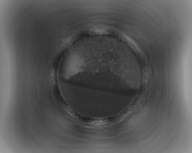 X0000113260465200909101502