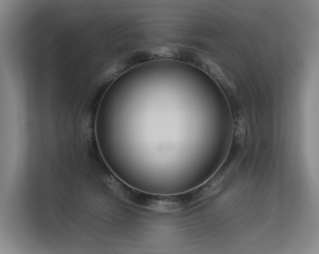 X0000113260466200909101502