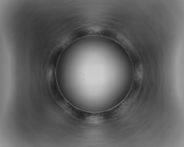 X0000113260468200909101502