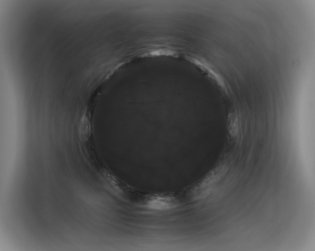 X0000113260471200909101502