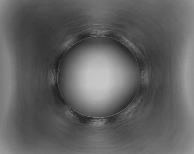 X0000113260474200909101502