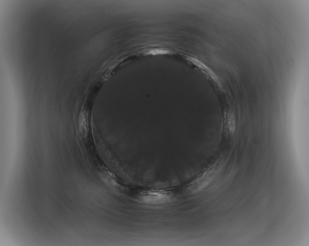 X0000113260475200909101502