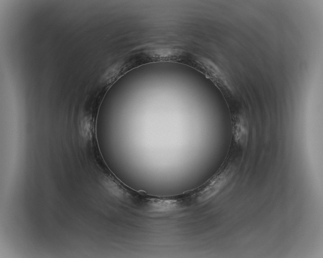 X0000113260476200909101502