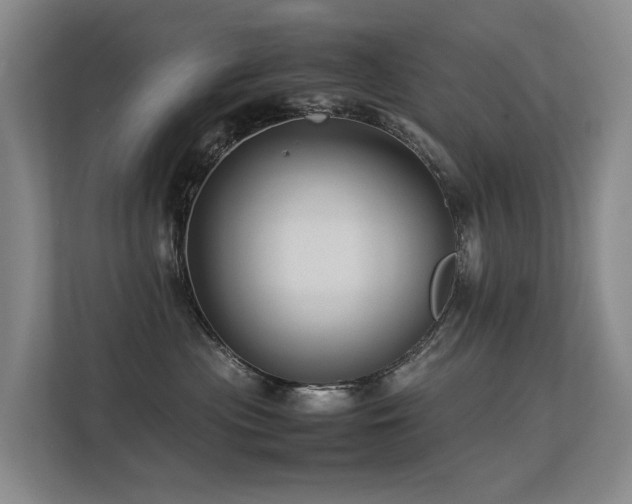 X0000113260477200909101502