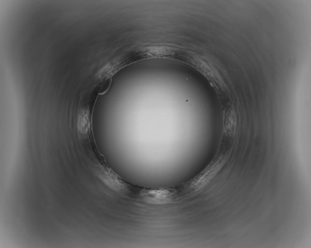 X0000113260478200909101503