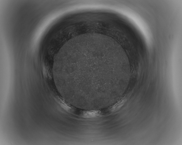 X0000113260479200909101503