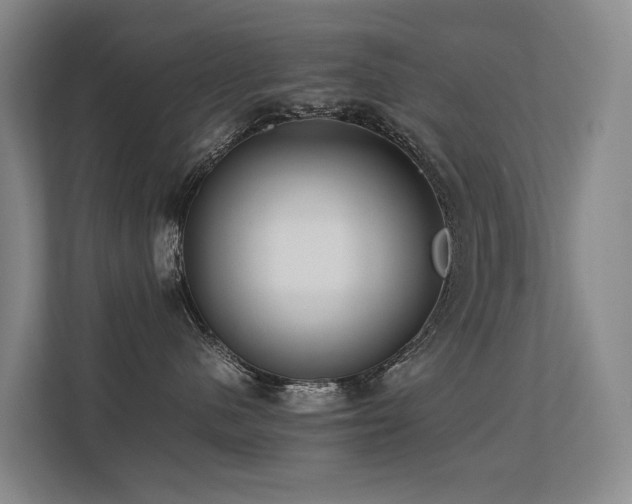 X0000113260480200909101503