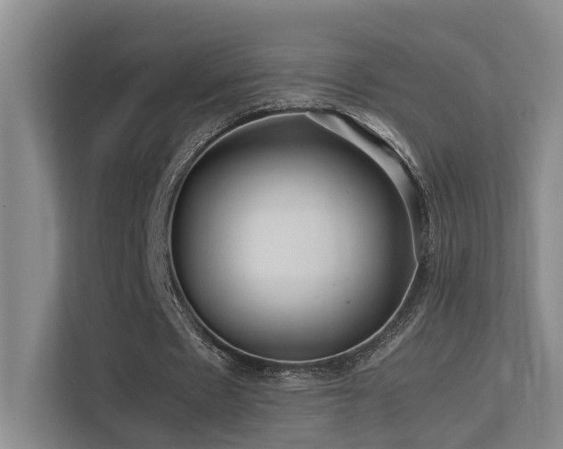 X0000113260481200909101502