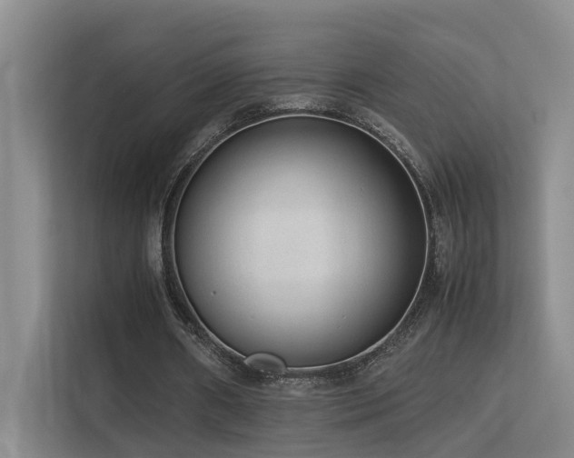 X0000113260482200909101502