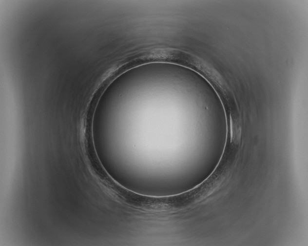 X0000113260483200909101502