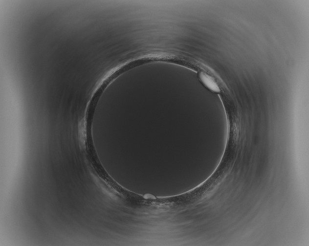 X0000113260484200909101502