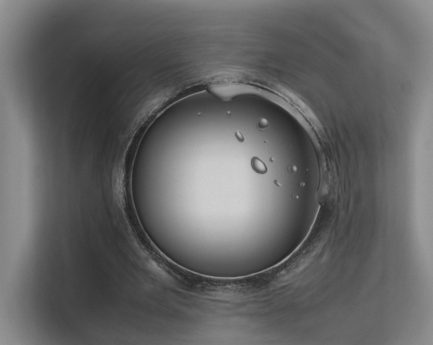 X0000113260485200909101502