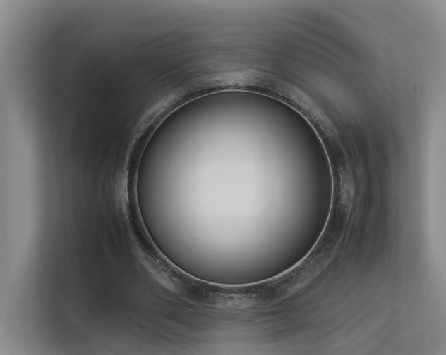 X0000113260486200909101502