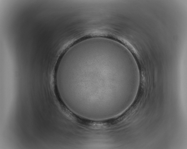 X0000113260487200909101502