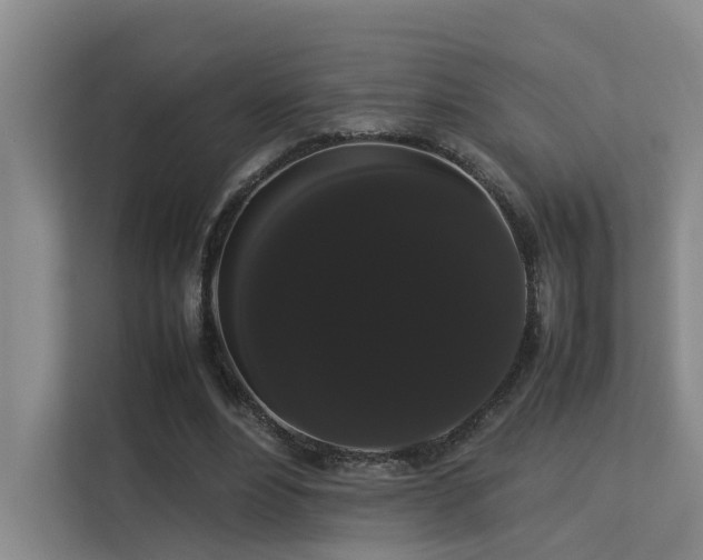 X0000113260488200909101502