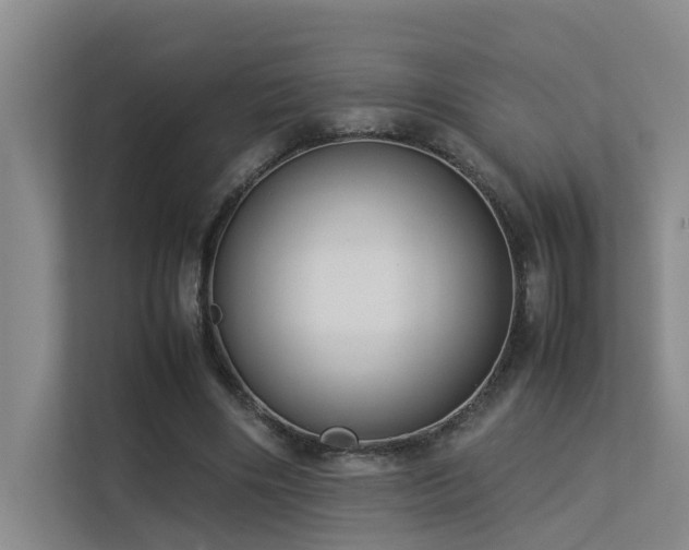 X0000113260490200909101502