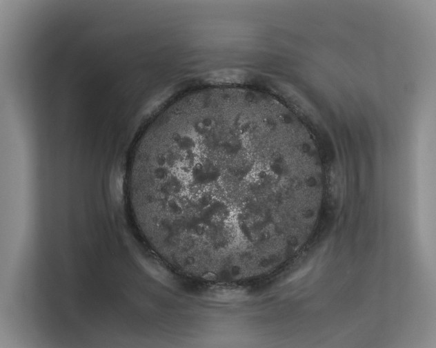 X0000113260491200909101502