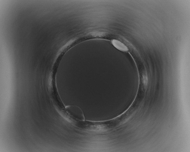 X0000113260492200909101502