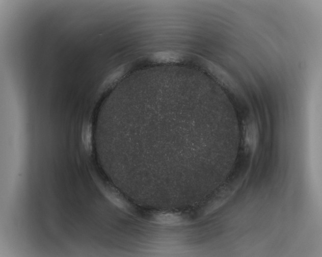 X0000113260494200909101502