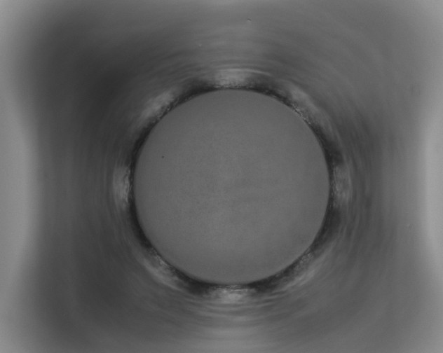 X0000113260495200909101502