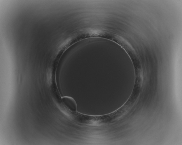 X0000113260496200909101502